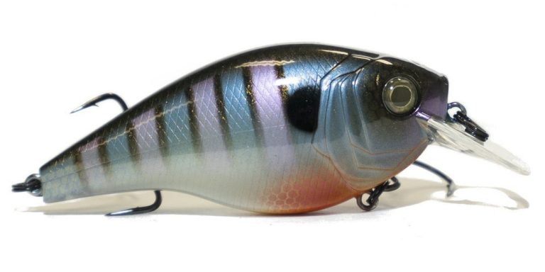 Pro Tackle Solutions Sales -Pro Tackle Solutions Sales 16741897273434 1080x1080 768x384 1